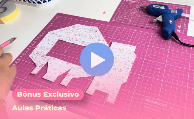 Aulas Práticas